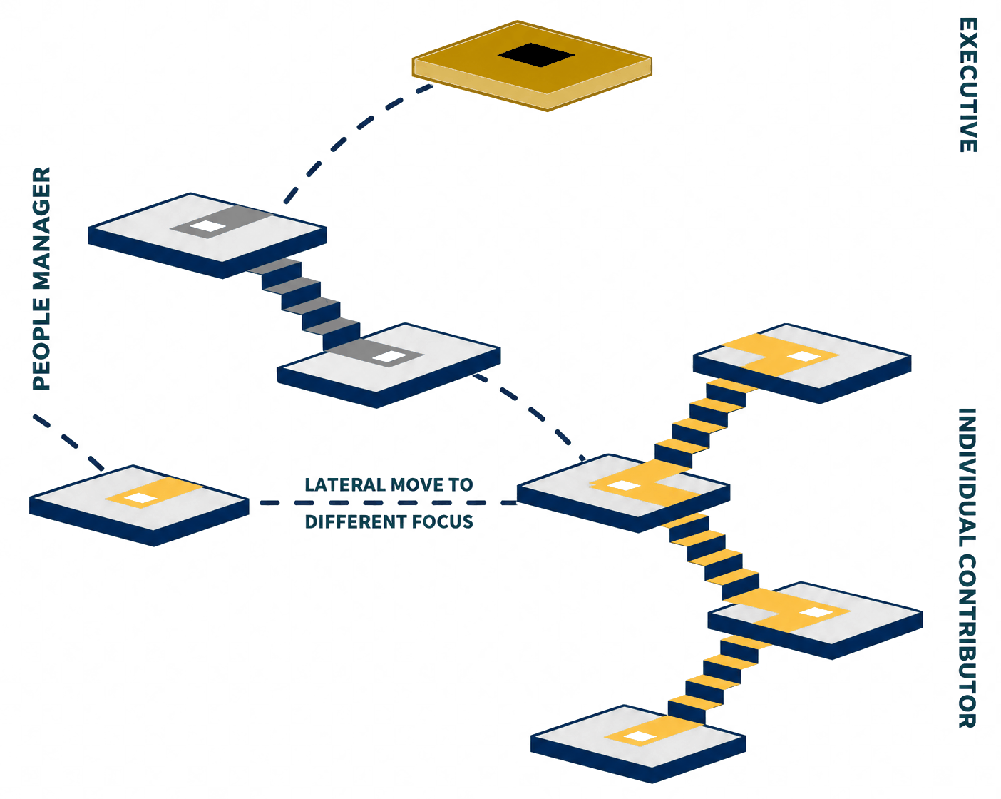 Illustration of career paths at Cotton showing movement between Individual Contributor, People Manager, and Executive levels, including lateral moves